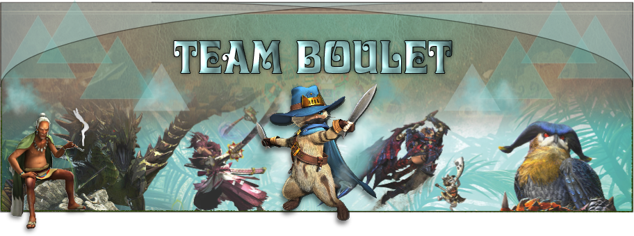 Banniere teamboulet