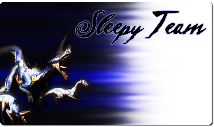 Sleepyteam